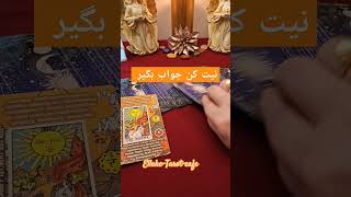 نيت کت جواب بگیر ?farsi_tarot فال_تاروت قهوه schorts ella تاروت fal 