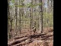 Tracking training #tracking #lawenforcement #military #survival #swatteam #training #outdoors