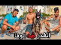 فيلم قصير: وفاء الكلاب و غدر الاصدقاء