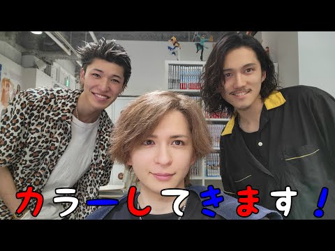 フェイスフレーミングとプラムグレーのヘアカラー❗️