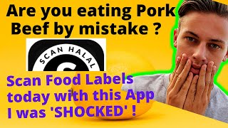 SCAN HALAL |Food Label reading App |Find unwanted Beef, Pork, Animal Enzymes, Alcohol in Food screenshot 3