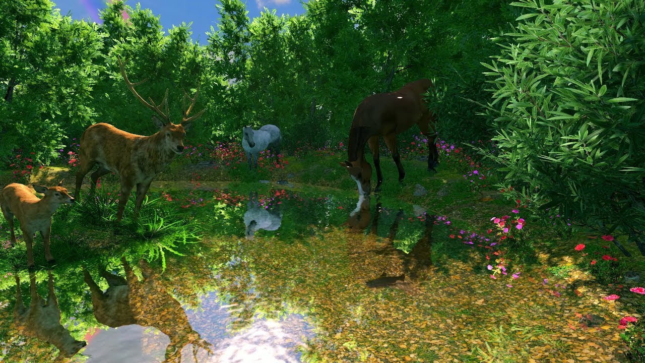 FlowScape - Forest Sounds ambience River birds nature | Sonidos ambientales del bosque created by me