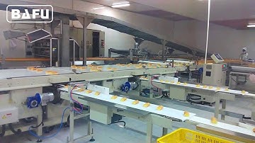 cake, bread, cookies, biscuit packaging system, flow-pack packaging line