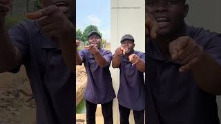 Troubletwins Were Caught