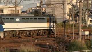 【新鶴見信号場】EF65-2095+コキ&EF210-171【貨物】