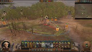 The Dark Mail Quest Battle. #totalwar #warhammer3 #warhammer