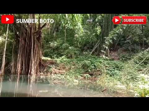 Video: Batu, Kayu, Batu Bata