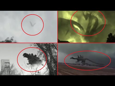 5 Godzilla Characters