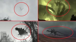 5 Godzilla Characters Caught on Camera \& Spotted in Real Life 2