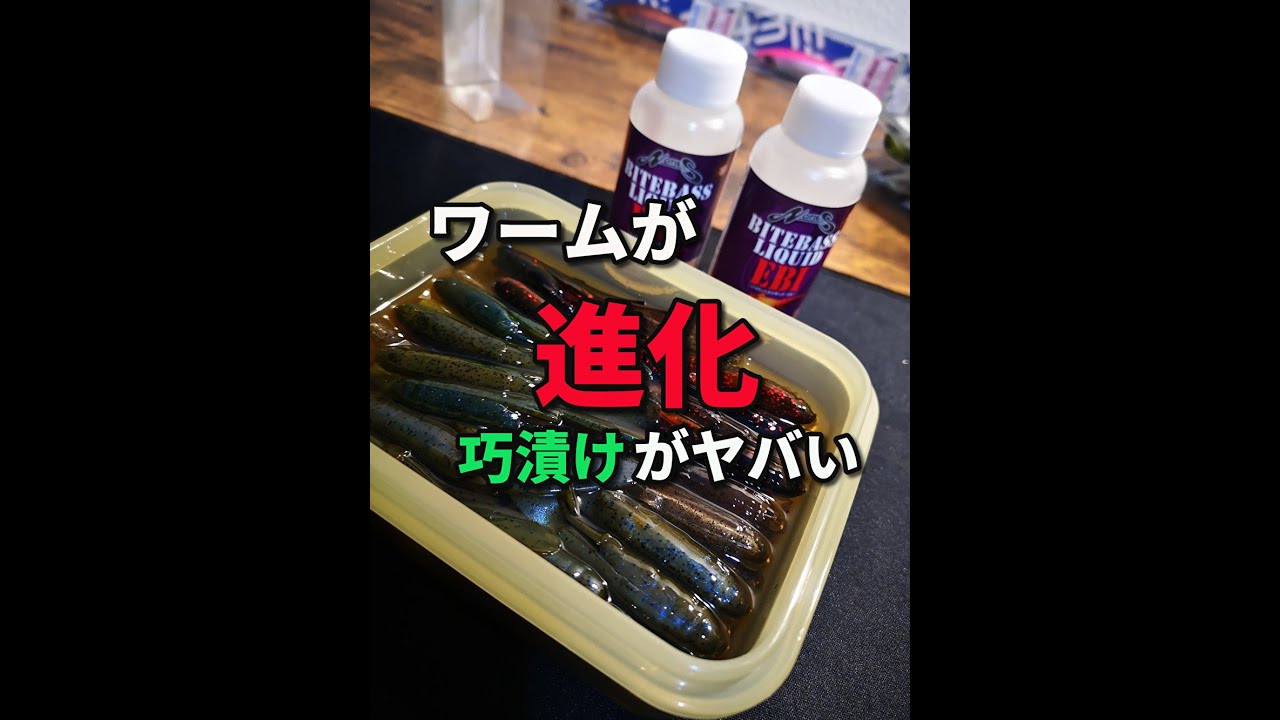 驚愕】ワームに味や臭いを浸み込ませる？！ロックフィッシャー必見の巧