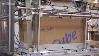 eCube Automated Boxing System Demo Video