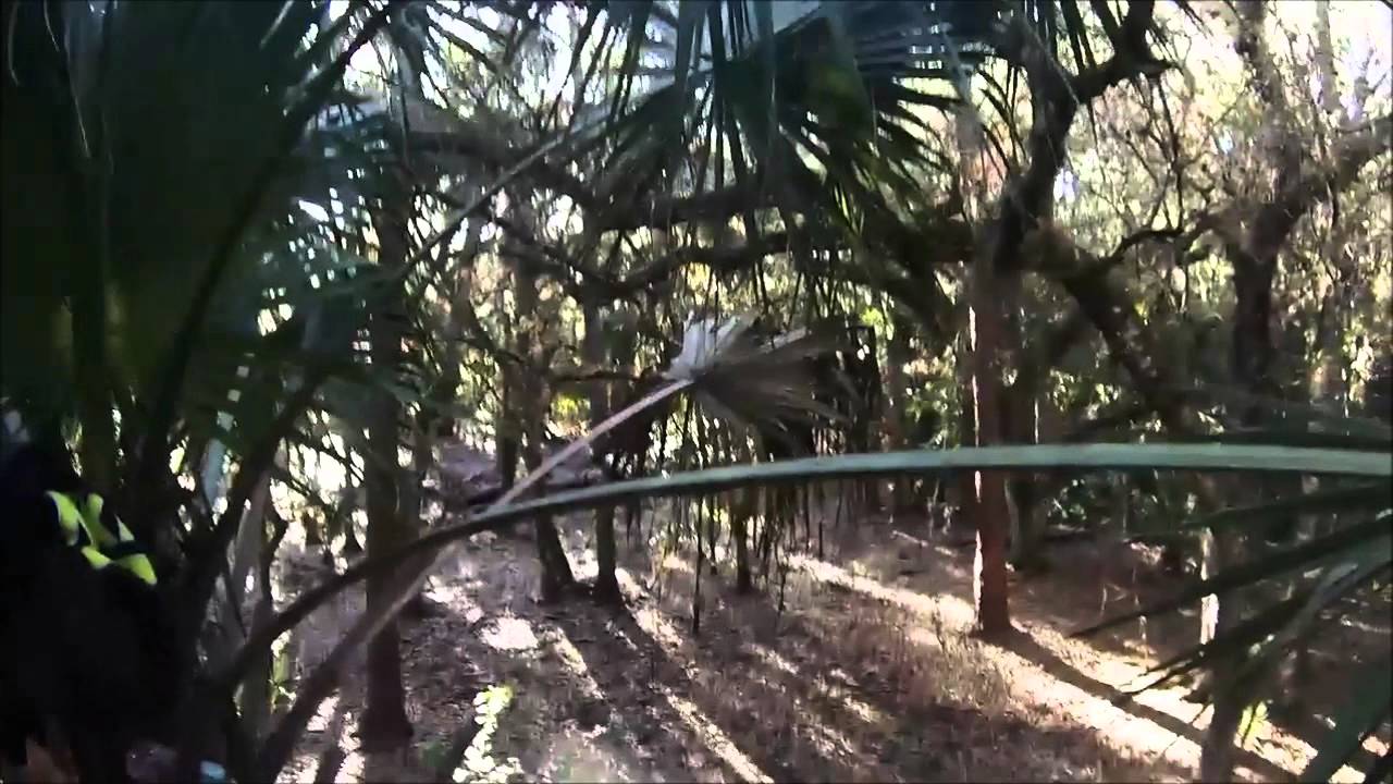 South Florida Hog Hunting 