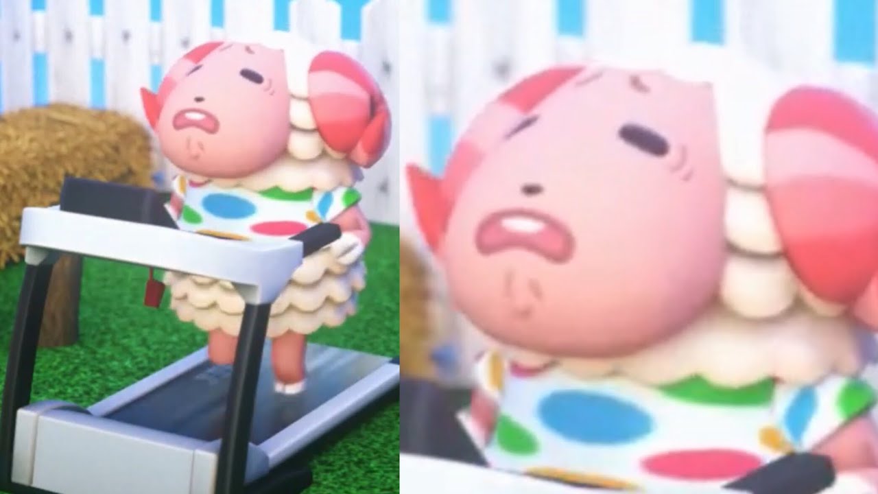 THE BEST ANIMAL CROSSING FUNNY MOMENTS (New Horizons) YouTube