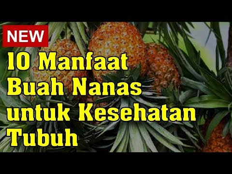 Video: Nanas Kering - Kandungan Kalori, Khasiat Bermanfaat, Nilai Gizi, Vitamin