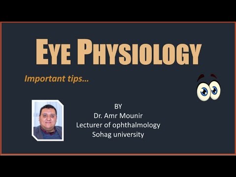 Ophthalmology Basics