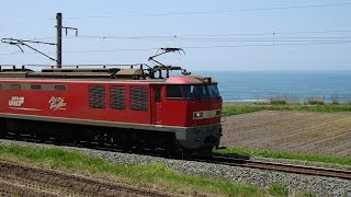 列車番号4093 EF510-20 羽越本線(村上~間島)60P