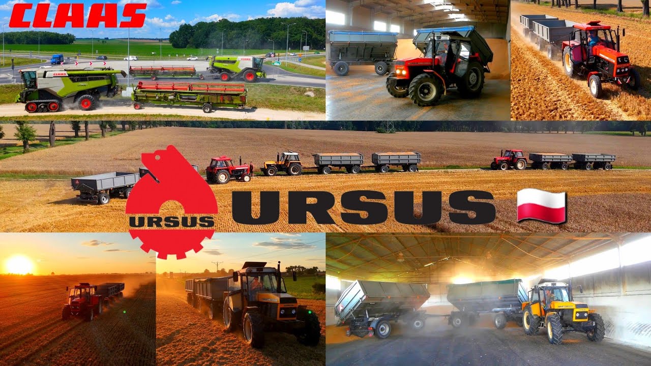 Setki hekatrów z Urususami | Wielkie żniwa w Polsce | dźwięk silników | Zalesie Śląskie  🇵🇱