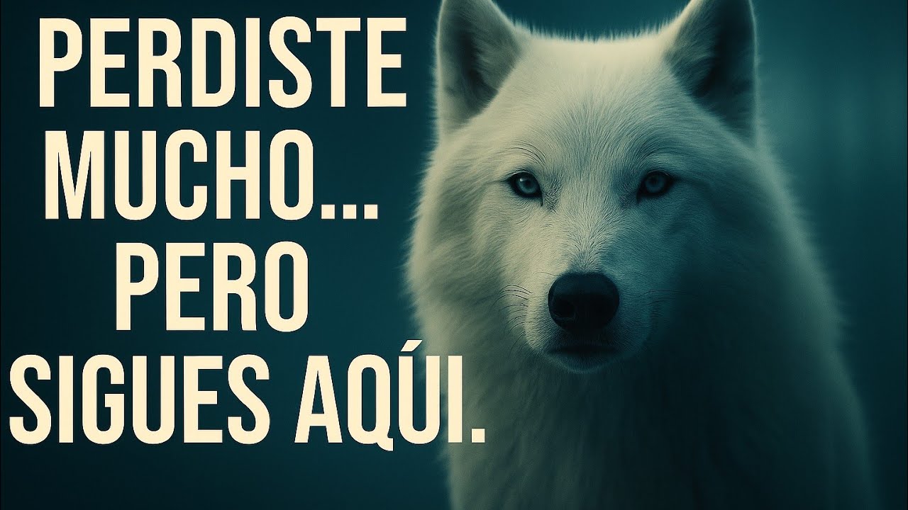 Reflexión del Lobo: Cómo volver a empezar cuando sientes que todo está perdido