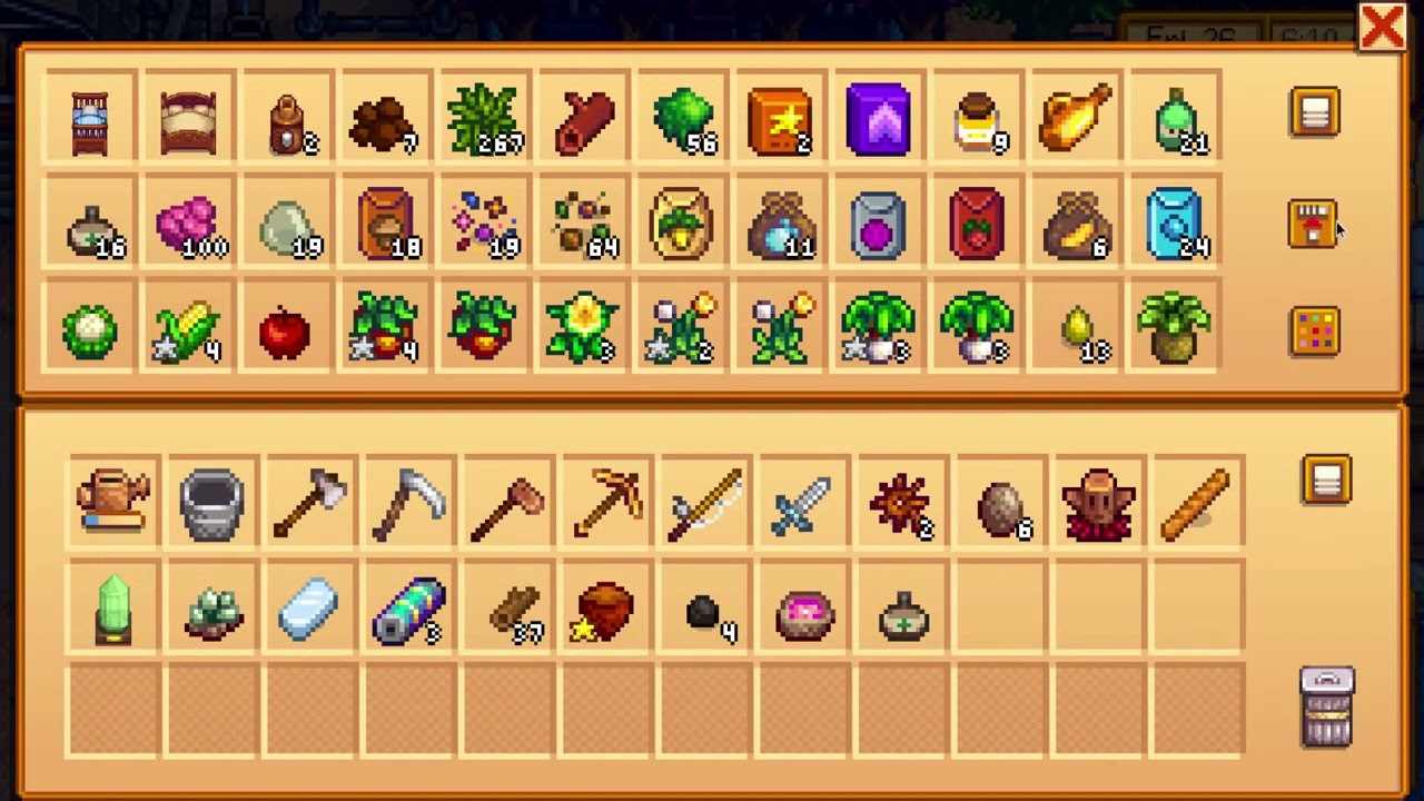 Stardew Valley'n can you think what I should ask Robin to make