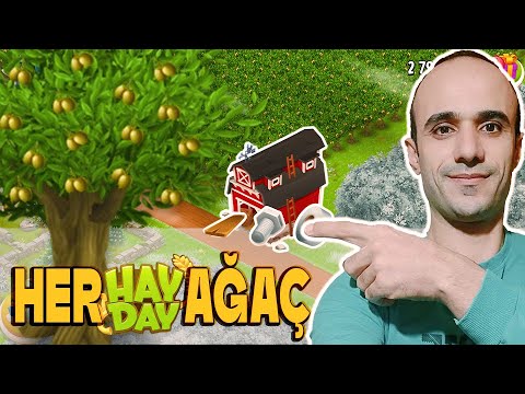 Harika İş! Zeytin Ağaçların 1. Evresini Topladık. 🌿😊│Hay Day #gameplay #hayday #500tilki