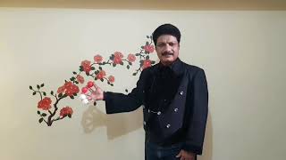 Ultimate Multiplying Balls Magician Ali