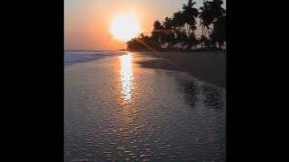 Morwan Kalmoni - Go Black Stars Go