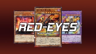 Red-Eyes Devpro Duels 2015 | Never Forget, Joey!