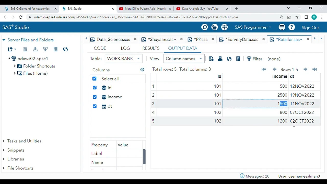 First. and Last. in SAS.