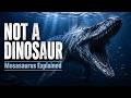 Mosasaurus Explained: The Real Sea Monster That Was Not a Dinosaur