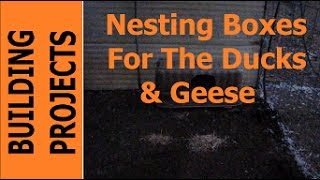 BUILDING PROJECTS - Nesting Boxes For The Ducks & Geese Join my wife and myself on our adventure of building our little homestead farm in the Cascade Mountains of the Pacific Northwest.