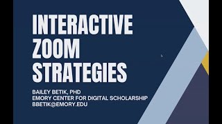 Interactive Zoom Strategies