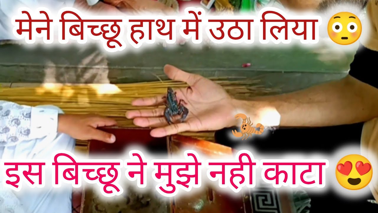 वाह क्या करामात हैं इस दरगाह की आप हैरान हो जाओगे 😱😍| Bicchu Wali Mazar Amroha | 