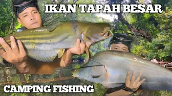 Camping Fishing 4 hari hujan deras dapat ikan tapah besar masak dan makan di pinggir sungai
