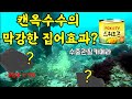 캔옥수수에 모인고기는? 수중관찰카메라-FOX☆TV