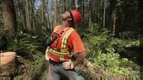 HowStuffWorks Show: Episode 3: Lumber Workers