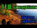 Лещ на макушатник I Ночная рыбалка на Днепре