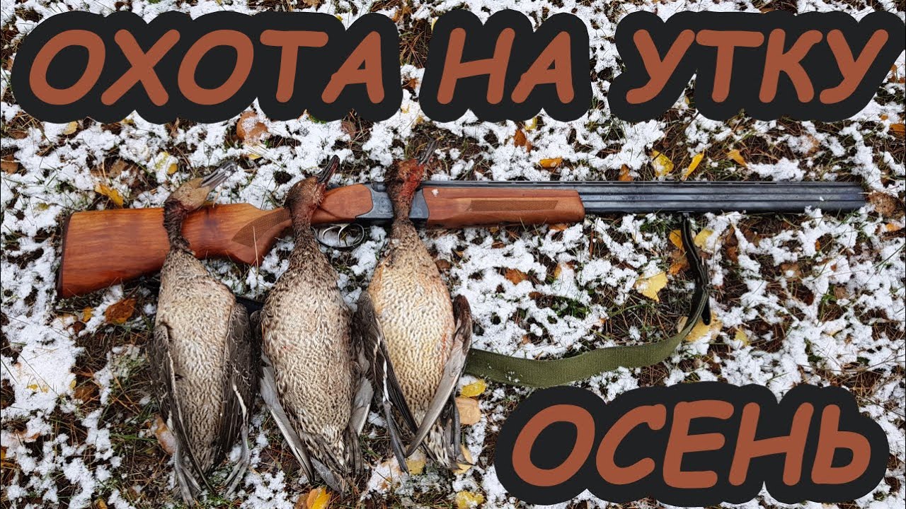 Охота на утку по первому снегу | Не город TV