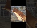 كيف تصمد أمام الجميع بدبابة T32؟ تكتيك الـ Hull Down 🧱🔥