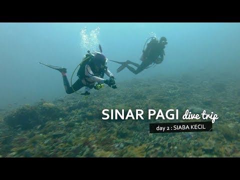 Komodo Diving Trip : Siaba Kecil