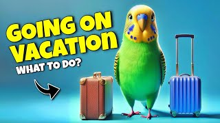 What to Do with Your Bird When You Go Away on Vacation! by Bird Nuggets 28,269 views 3 months ago 2 minutes, 11 seconds