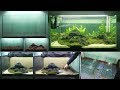 Aquarium model 2  how to make an aquarium tank  piece of paper