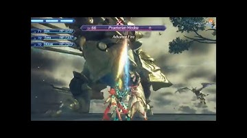 Xenoblade Chronicles  2 - Rex/Pyra/Nia Ultimate Level 4 Special