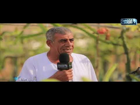محمود البرانسي نجحنا في زراعة أشجار المكاديميا المميزة وفق معاملات حقلية خاصة