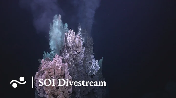Iguanas Hydrothermal Vent Field | SOI Divestream 562 PART 2