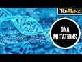 Common Misconceptions About Genetics