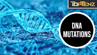 Common Misconceptions About Genetics