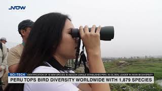 Peru Tops Bird Diversity Worldwide with 1 879 Species