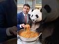 pandda vs man #trending #documentary #news #viral #shorts #short #panda #pandu #pandoo #pani