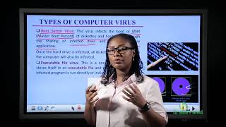 Computer Viruses