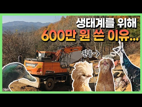 정말 완벽하게 끝나버렸습니다 😲